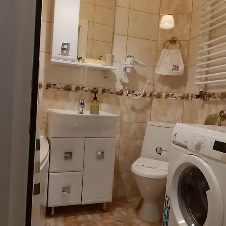 Mamyna Svitlycya Apartment *