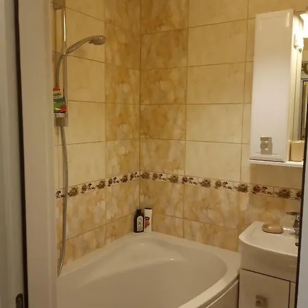 Apartment Mamyna Svitlycya *